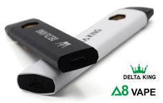Delta 8 Vape Disposables by Delta-King