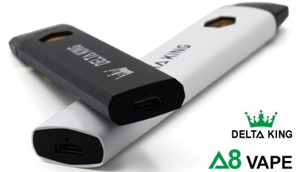 Delta 8 Disposable Vapes by Delta-King